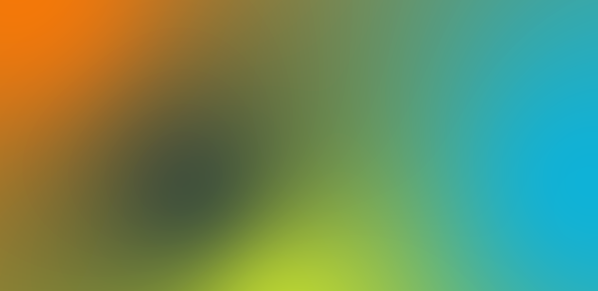 gradient ydeo 12