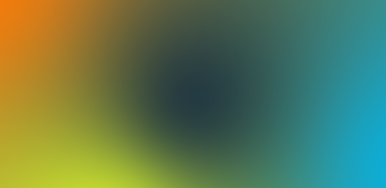 gradient ydeo 22