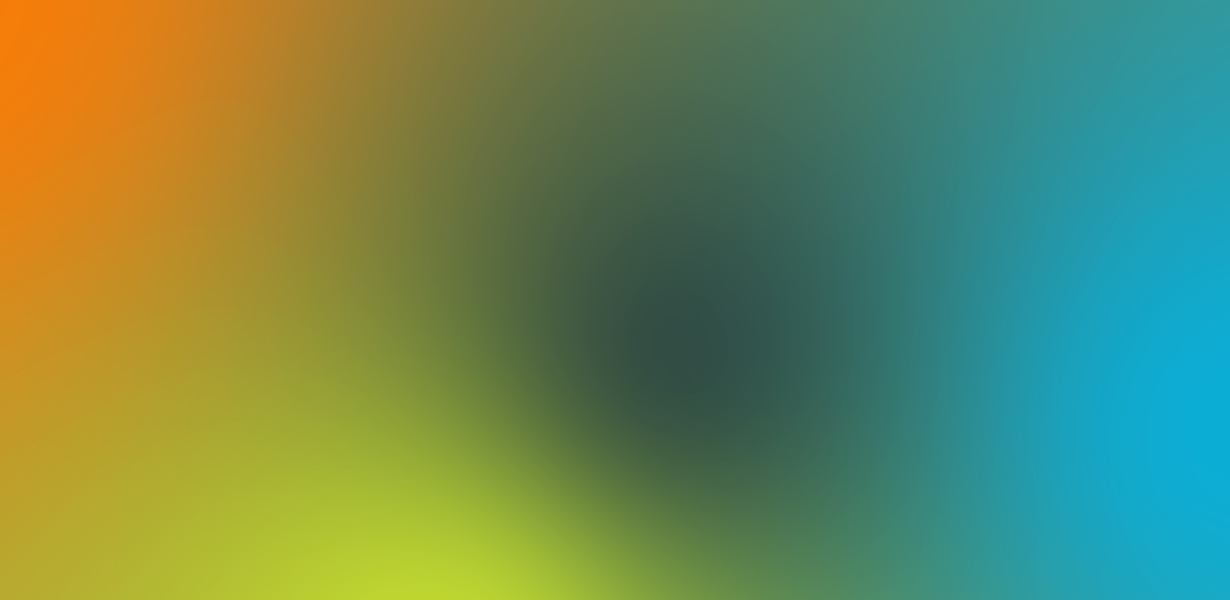 gradient ydeo 29