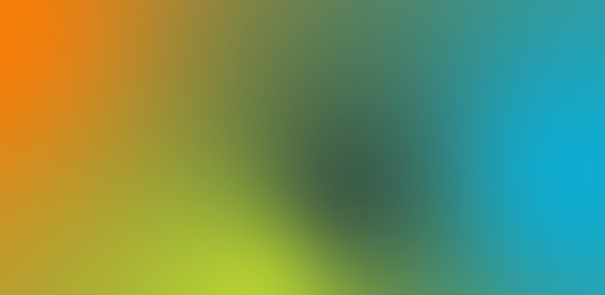 gradient ydeo 31
