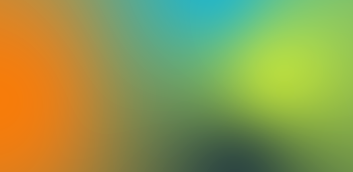 gradient ydeo 49