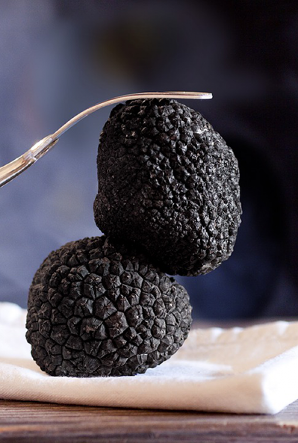 Arôme truffe - France Culinaire Développement