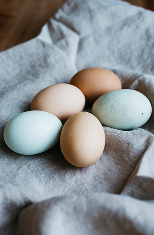 Blanc d'œuf non montant. - France Culinaire Développement