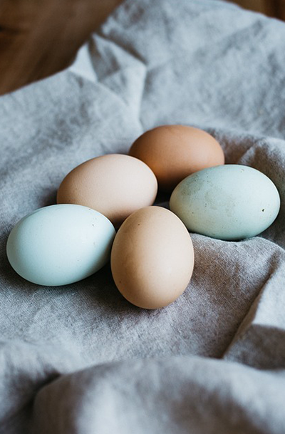 Blancs d'œufs liquides 1 kg - Oeuf
