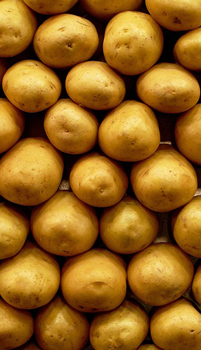 Fécule De Pomme De Terre.