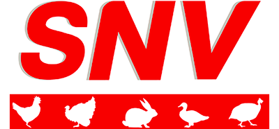 Logo Snv